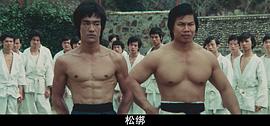 杨斯
