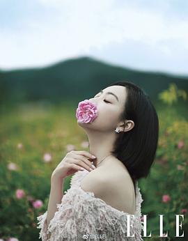 宋茜