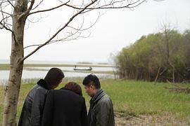 沈朝方