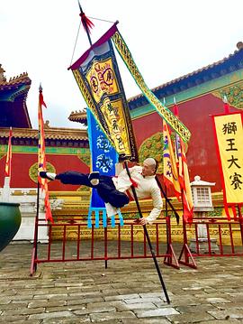 吴逸伽