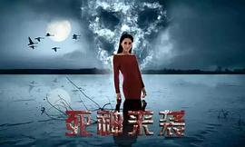 包美美