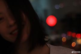 刘陆
