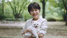 苏珠妍