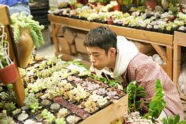 梁靖康