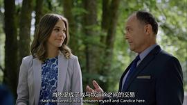 埃利斯·盖坦
