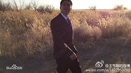 王韦智