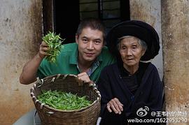 王韦智