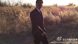 王韦智