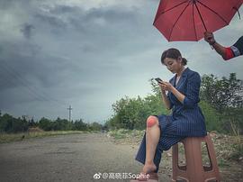 高晓菲