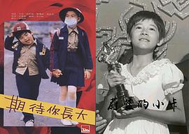 林珊如