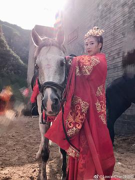 陈洛伊