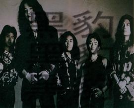 窦唯
