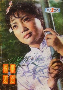 崔新琴