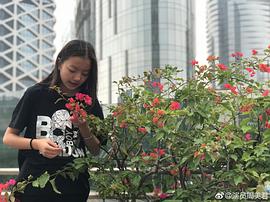 周美君