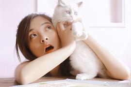 蒲悦