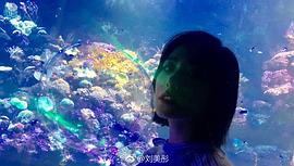 刘美彤
