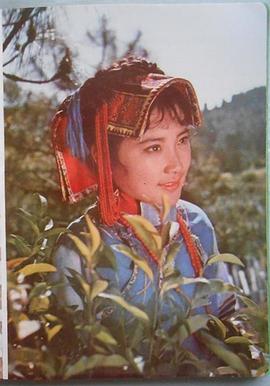 高丽娟
