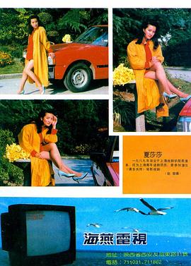 夏莎莎