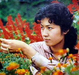 杨蓉