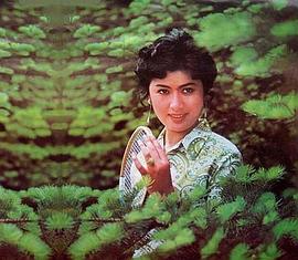 杨蓉