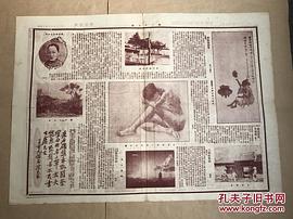 王谢燕