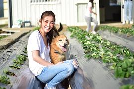 许维恩