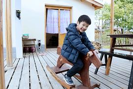 杨安迪