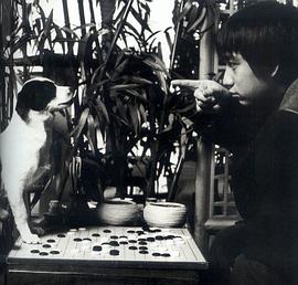 黄磊