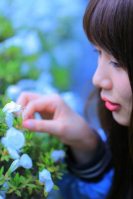 雾岛樱
