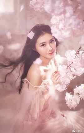 赵心