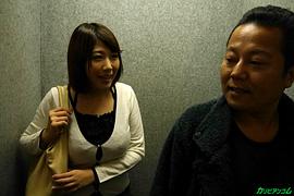 雾岛樱