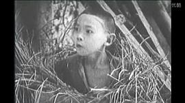 张哲德
