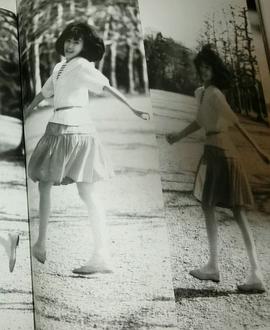 松本伊代