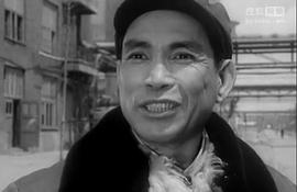 王文林