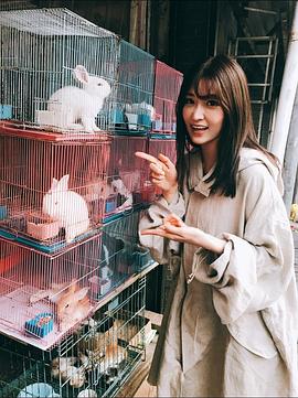 叶加濑麻衣