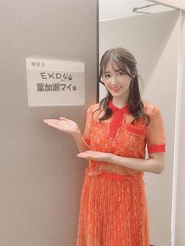 叶加濑麻衣