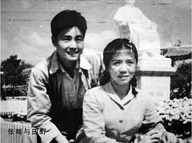张辉