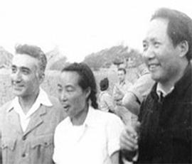 周苏菲