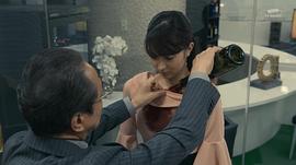 宫本茉由
