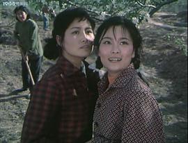徐美娜