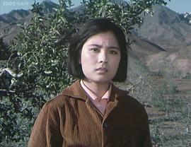 徐美娜