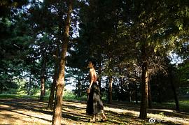 王一菲