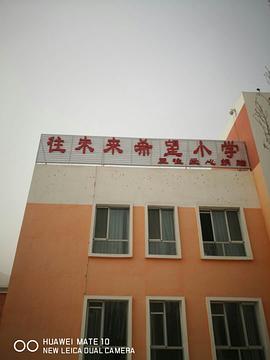 王往