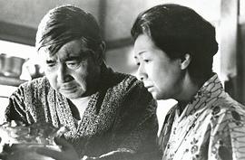 若山富三郎