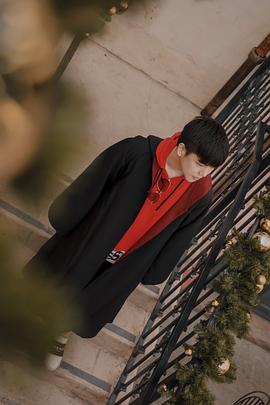 张云鹤