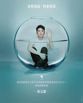 张云雷