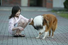 韩笙笙