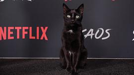 Salem