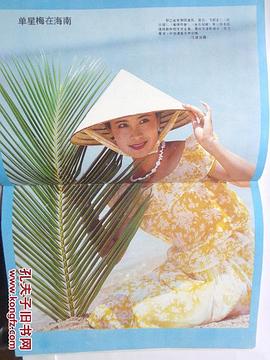 单星梅