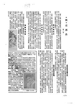 徐枫